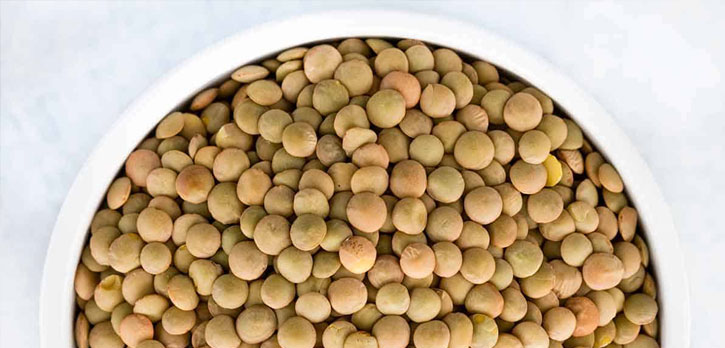 Green Laird Lentils