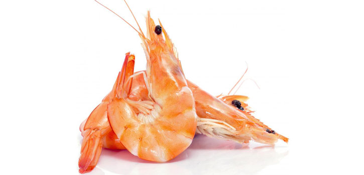 Cooked Shrimps